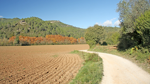 Sant Llorenç de la Muga